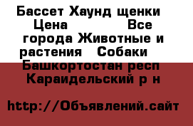 Бассет Хаунд щенки › Цена ­ 20 000 - Все города Животные и растения » Собаки   . Башкортостан респ.,Караидельский р-н